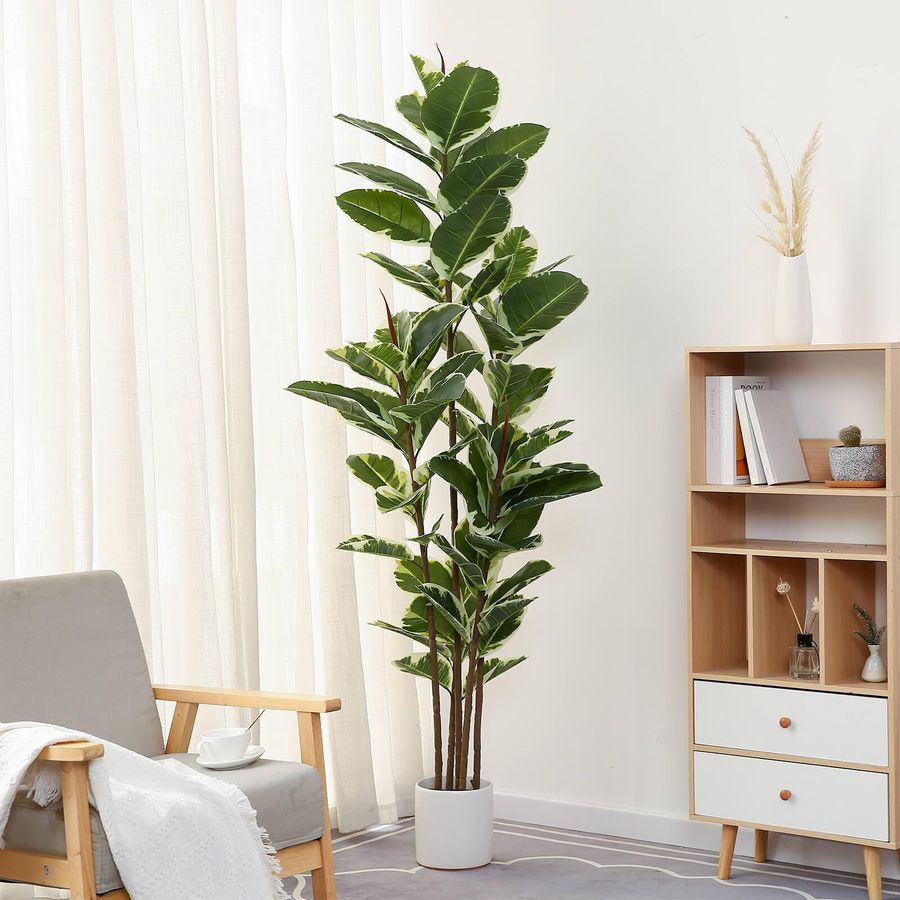 Rubber Plant Ficus - Rubber Tree Plant 6ft Tall Faux