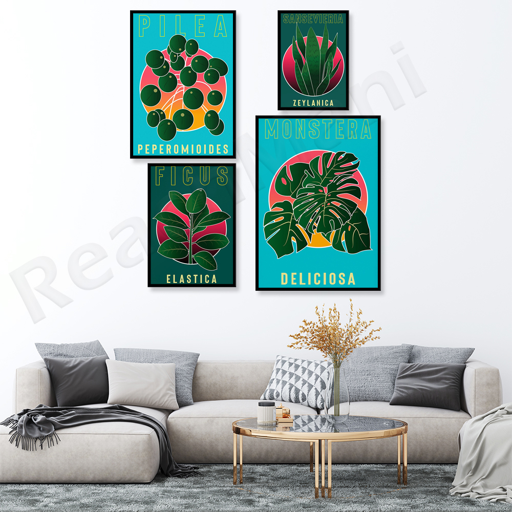 Monstera Deliciosa, Sansevieri - Rubber Plant Ficus avis et prix