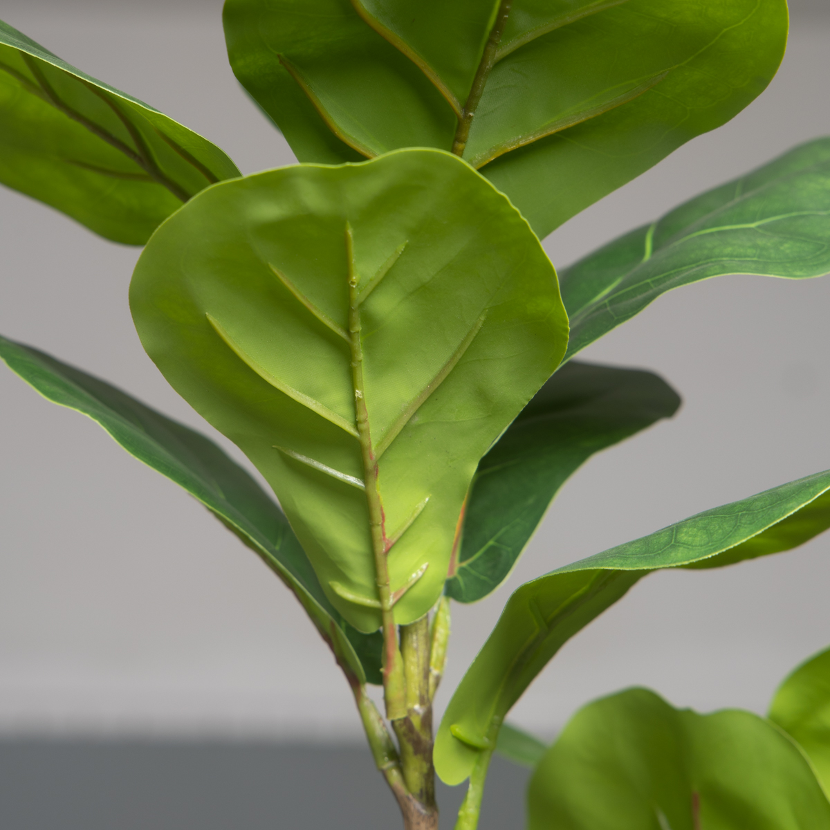 103cm/132cm Artificial Ficus T - Rubber Plant Ficus avis et prix