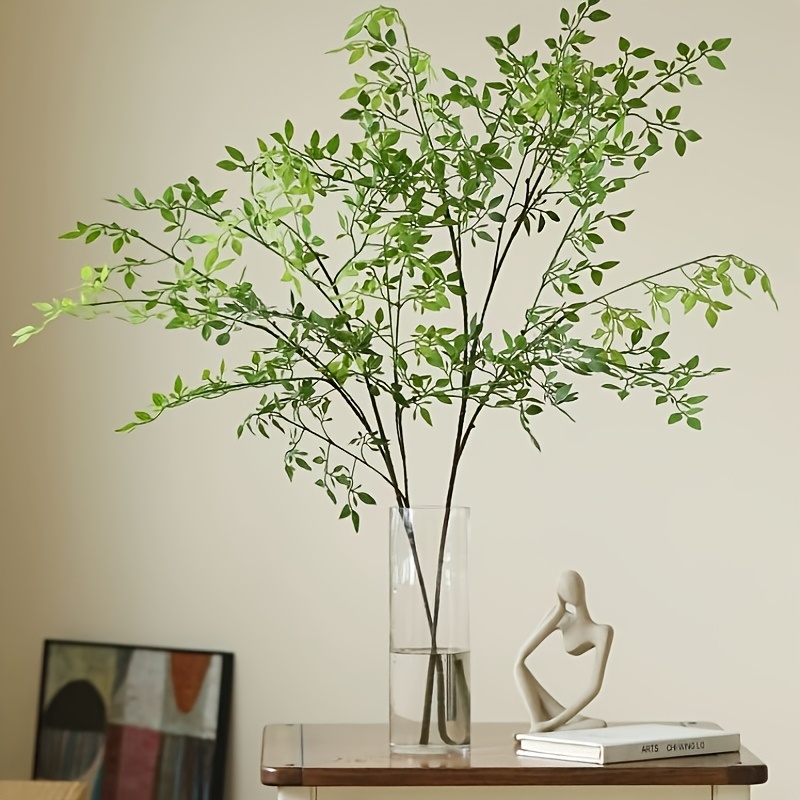1 Piece, Single Stem, Without  - Rubber Plant Ficus avis et prix