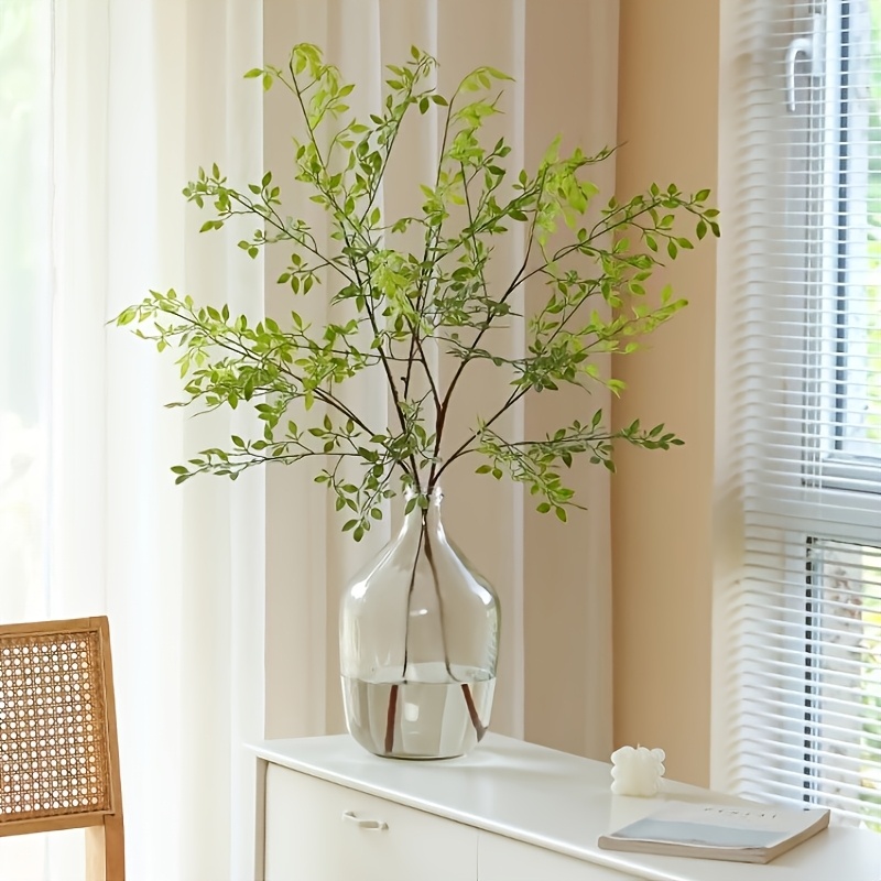 1 Piece, Single Stem, Without  - Rubber Plant Ficus avis et prix