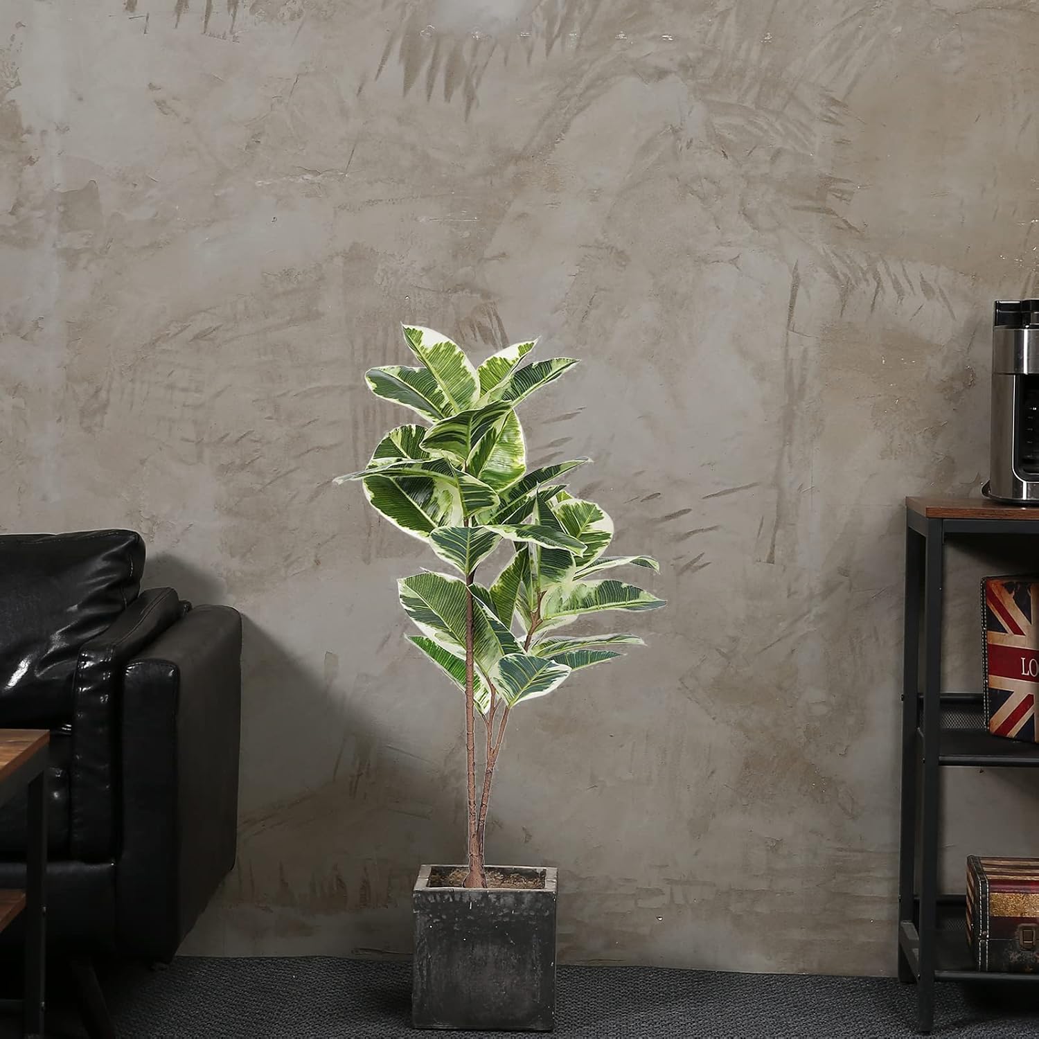 Artificial Rubber Tree Ficus P - Rubber Plant Ficus avis et prix