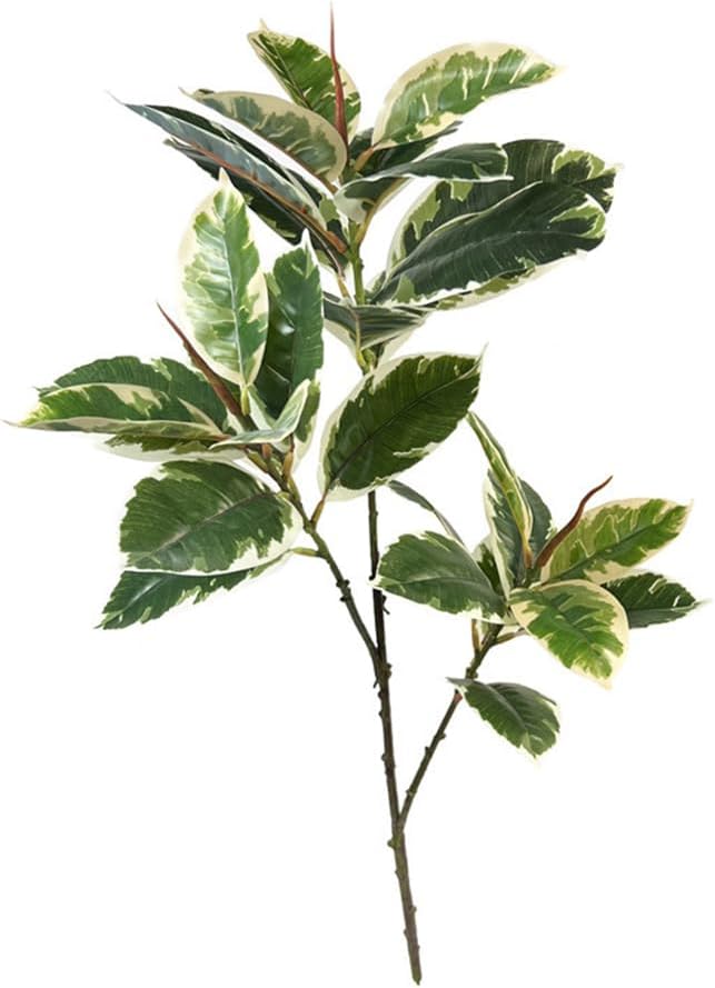 Ficus Tineke Artificial Plant  - Rubber Plant Ficus avis et prix