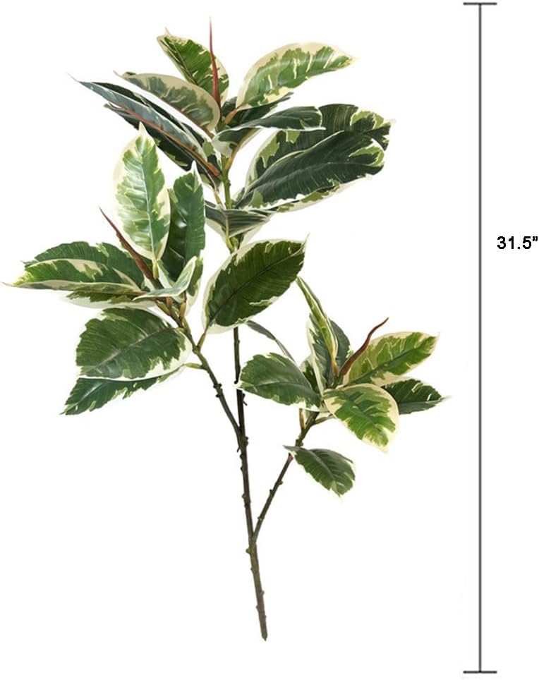 Ficus Tineke Artificial Plant  - Rubber Plant Ficus avis et prix