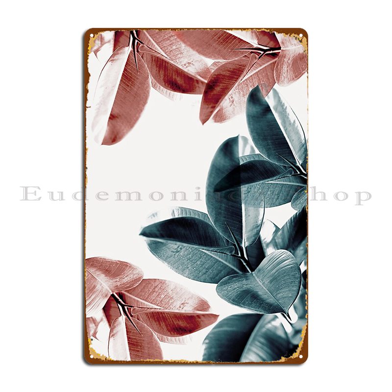 Rubber Plant Leaves Green And  - Rubber Plant Ficus avis et prix