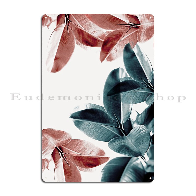 Rubber Plant Leaves Green And  - Rubber Plant Ficus avis et prix