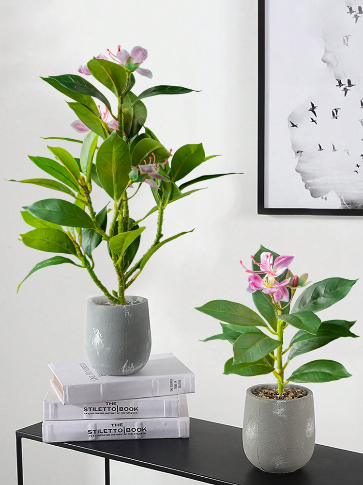 21-40cm Artificial Azaleas Pla - Rubber Plant Ficus avis et prix