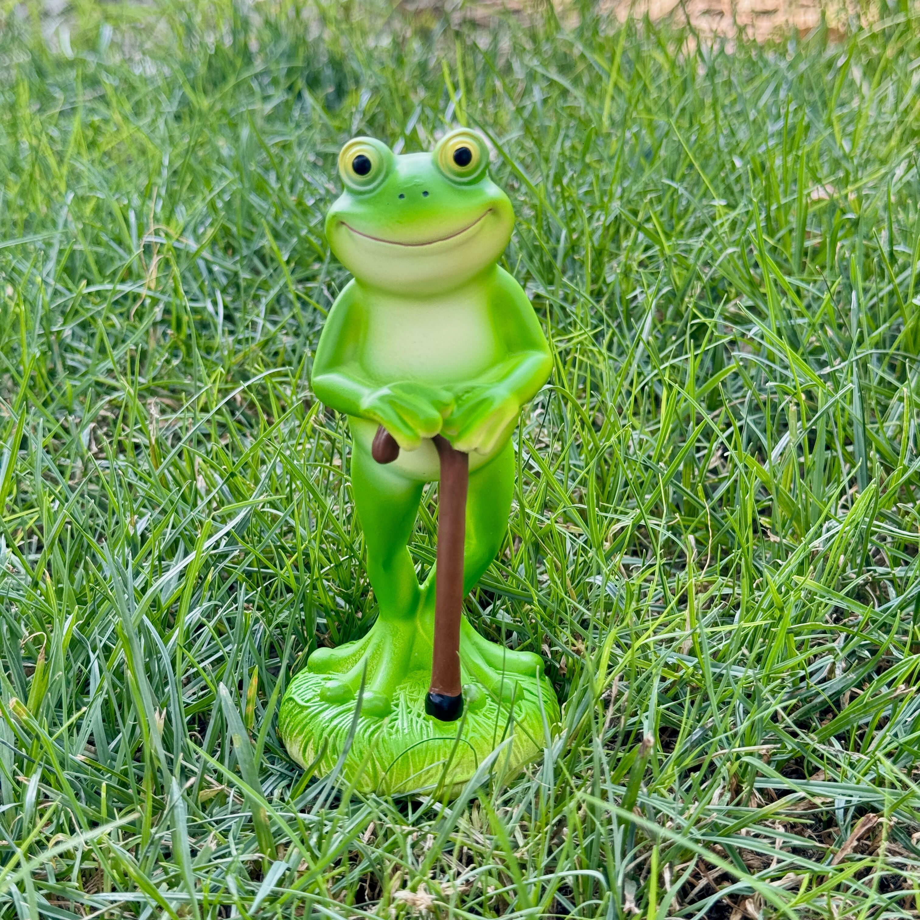 1Pc Charming Green Frog Garden - Plant Parent Pot avis et prix