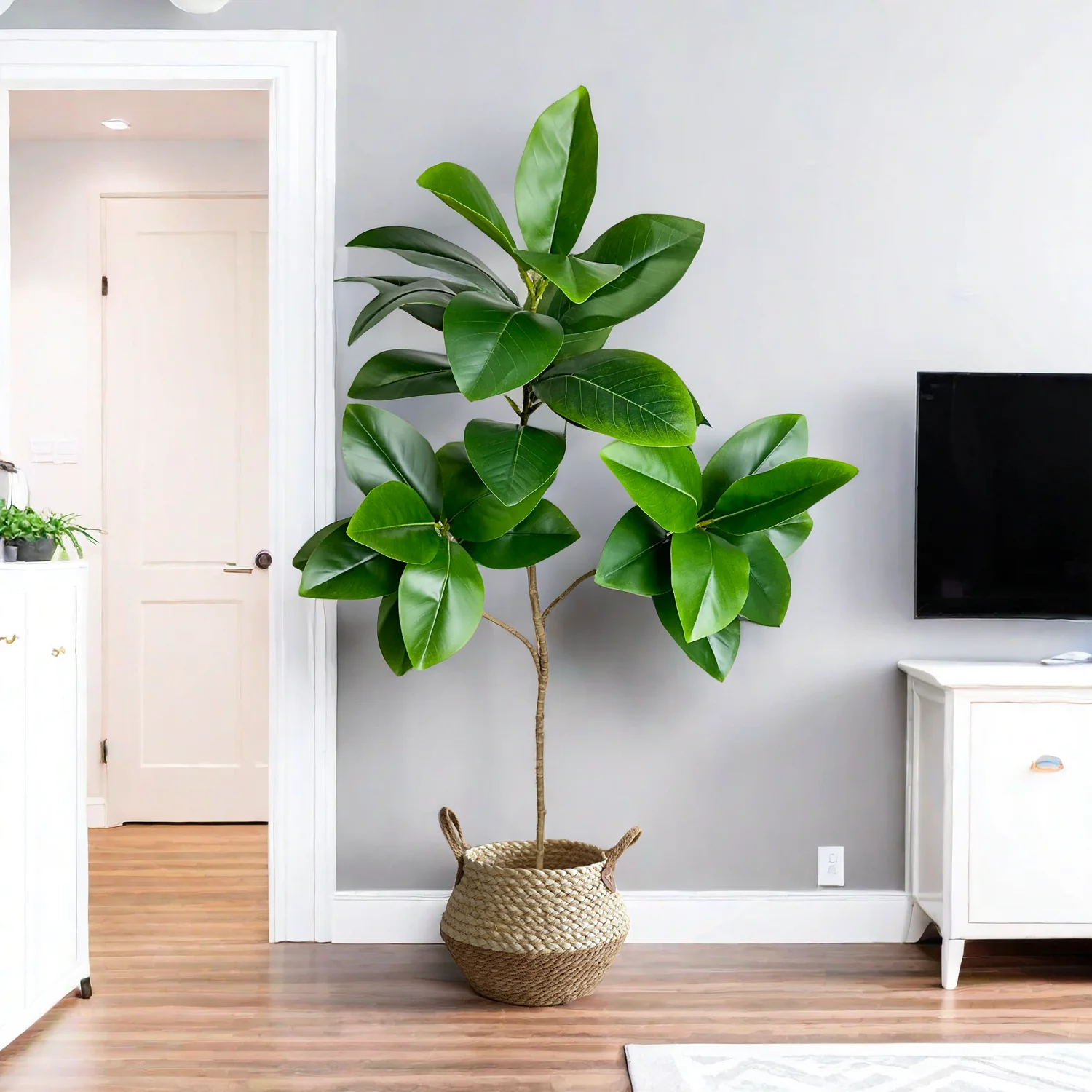 70/135cm Artificial Ficus Tree - Rubber Plant Ficus avis et prix