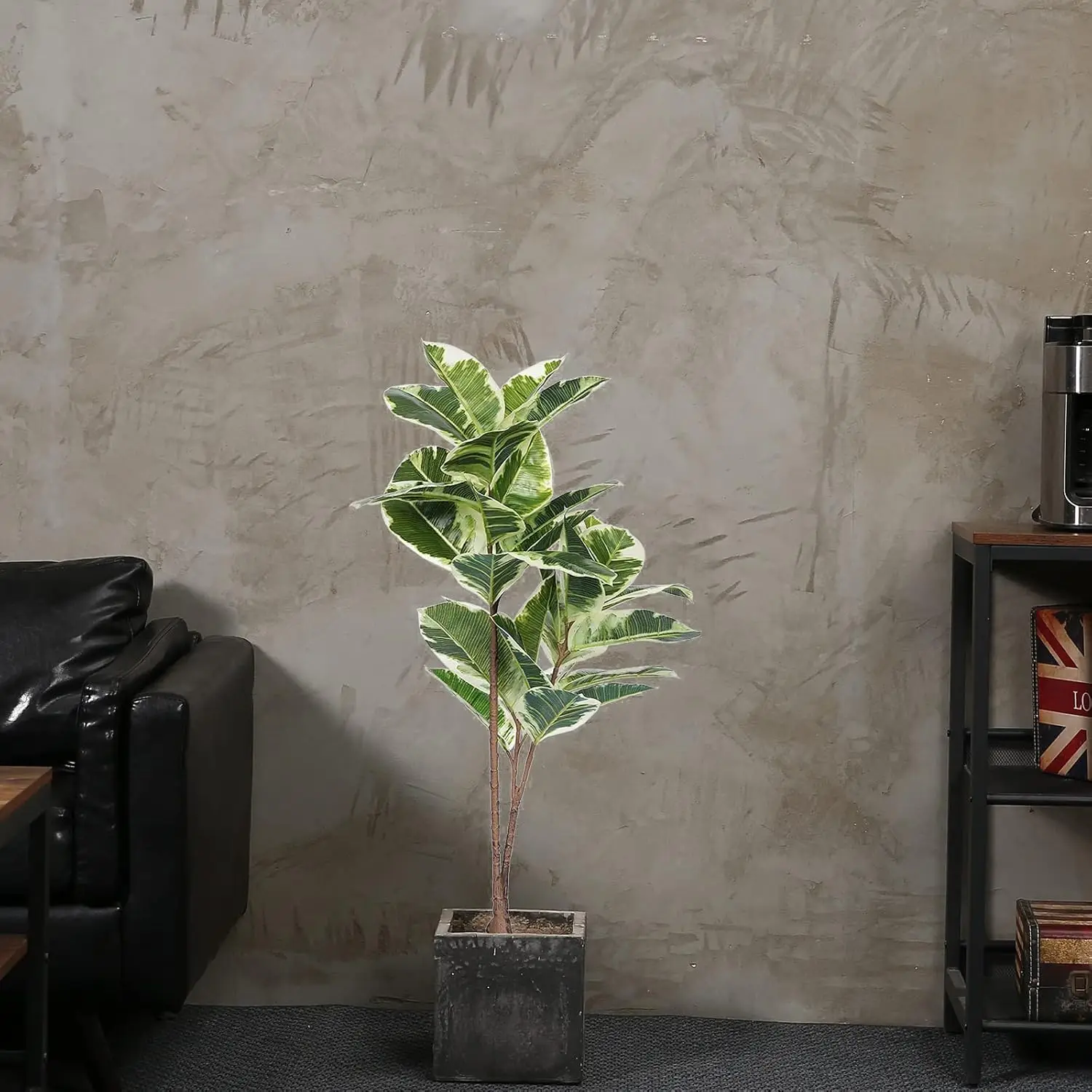 Artificial Rubber Tree Ficus P - Rubber Plant Ficus avis et prix