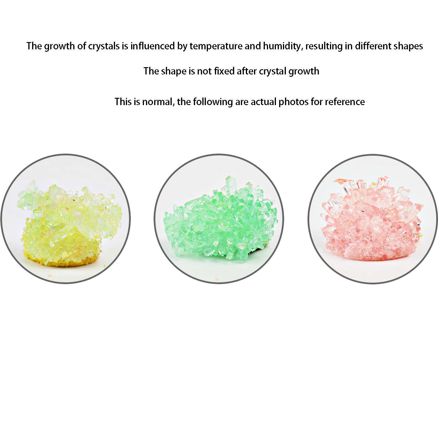 Crystal planting DIY scientifi - Plant Parental avis et prix